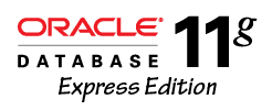 Ya está disponible para descargar la nueva versión de base de datos Oracle Express Edition, específicamente la versión 11g Release 2.